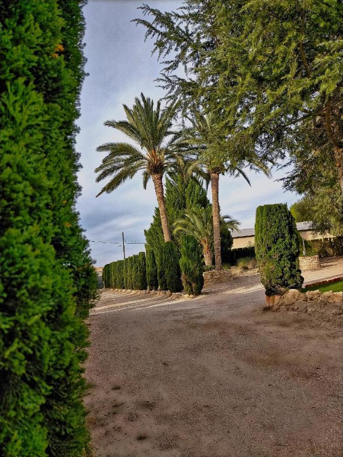 Casa Rural Las Palmeras Tobarra Dış mekan fotoğraf