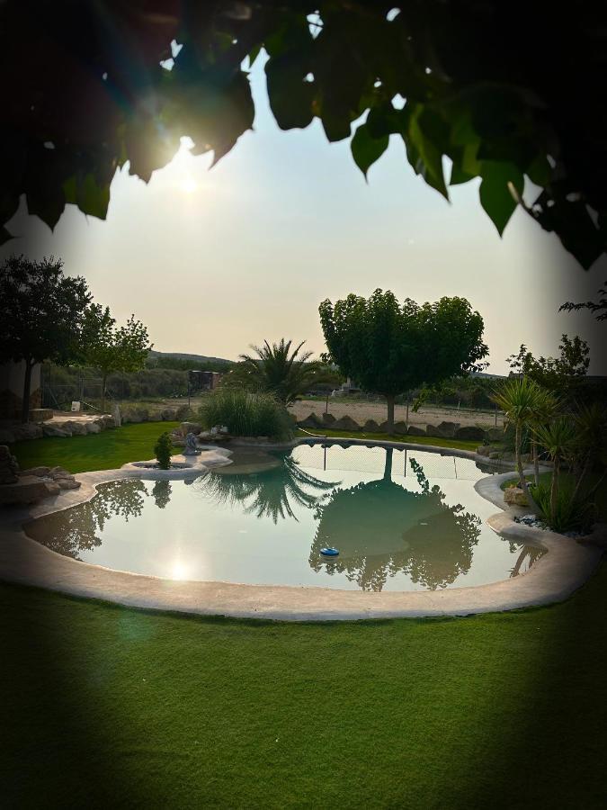 Casa Rural Las Palmeras Tobarra Dış mekan fotoğraf
