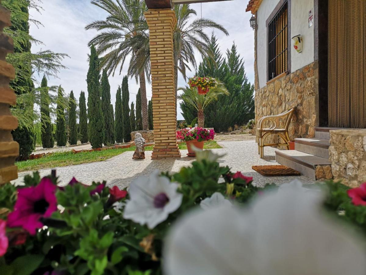 Casa Rural Las Palmeras Tobarra Dış mekan fotoğraf