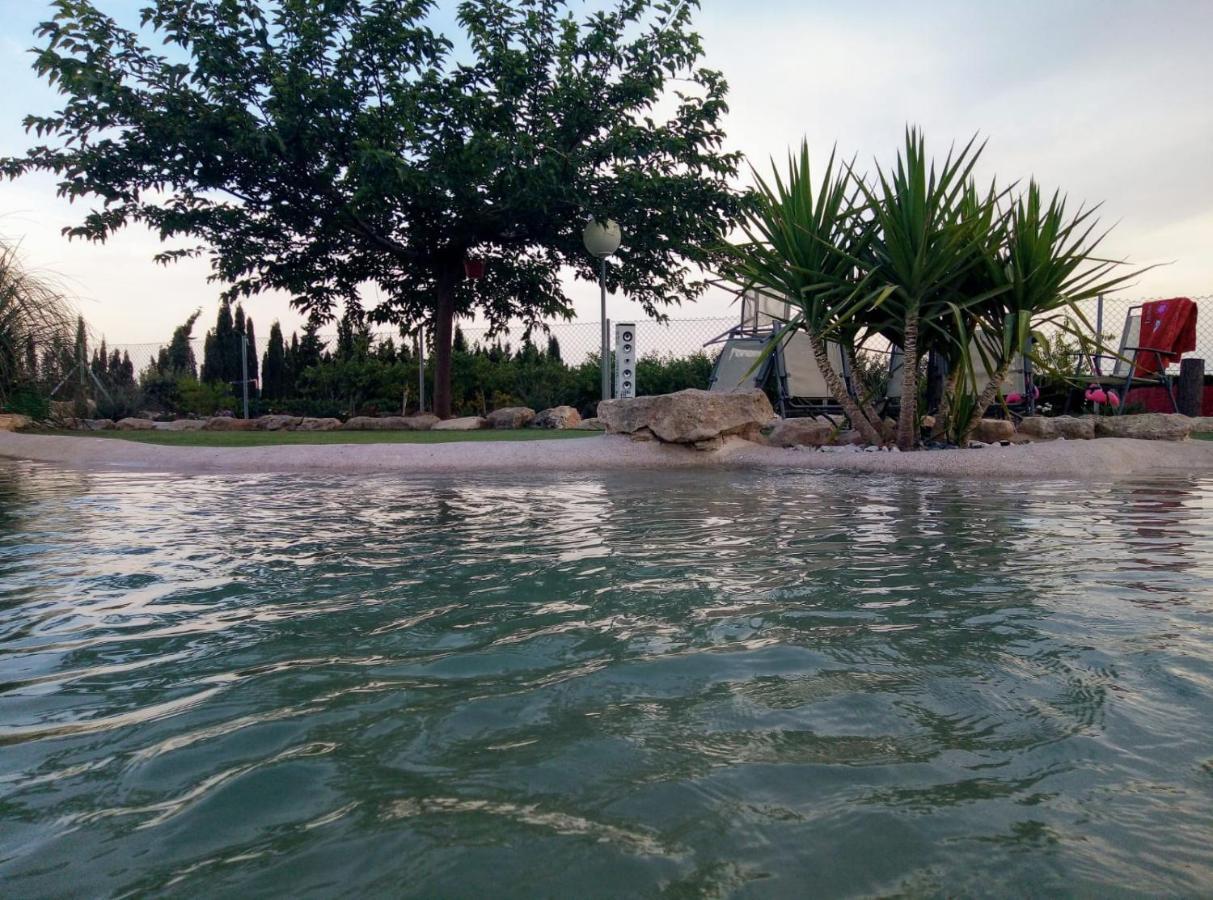 Casa Rural Las Palmeras Tobarra Dış mekan fotoğraf