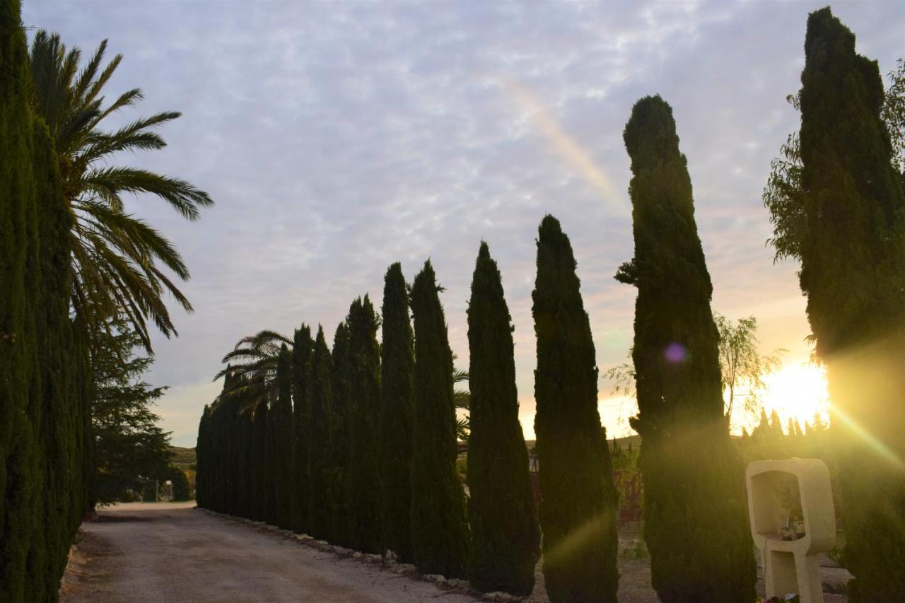 Casa Rural Las Palmeras Tobarra Dış mekan fotoğraf